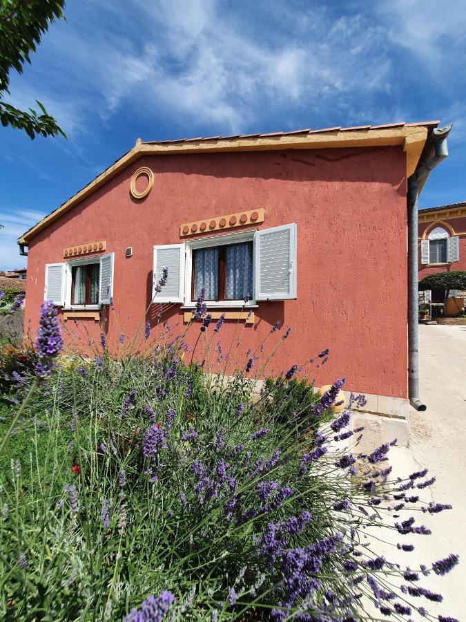 Apartment "House Tigra" Rovigno Esterno foto